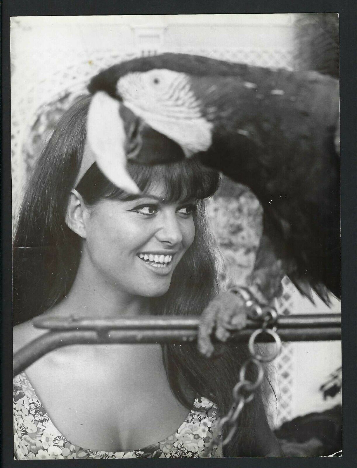 Claudia Cardinale